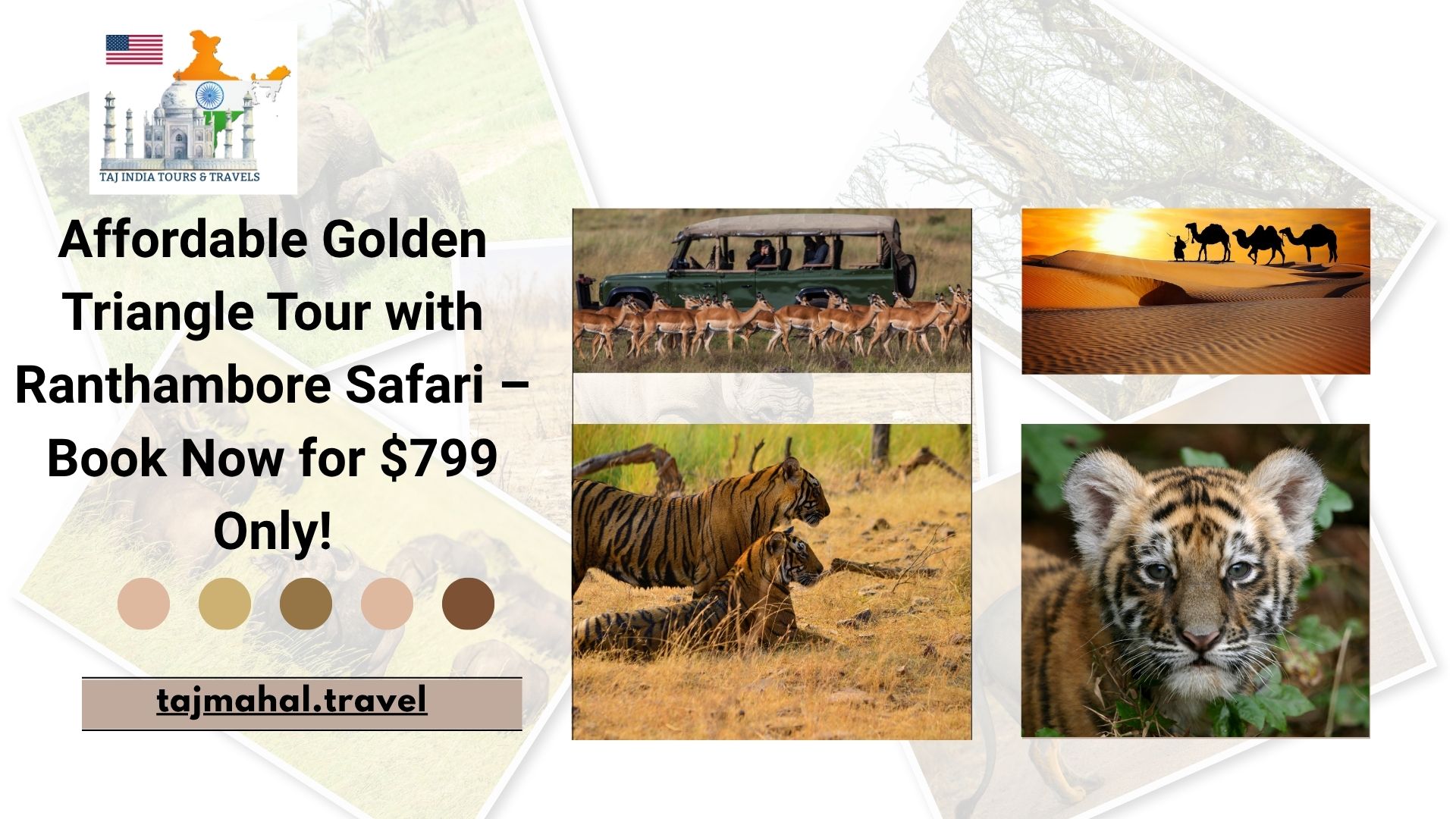 affordable-golden-triangle-tour-with-ranthambore-safari-book-now-for-dollar-799-only